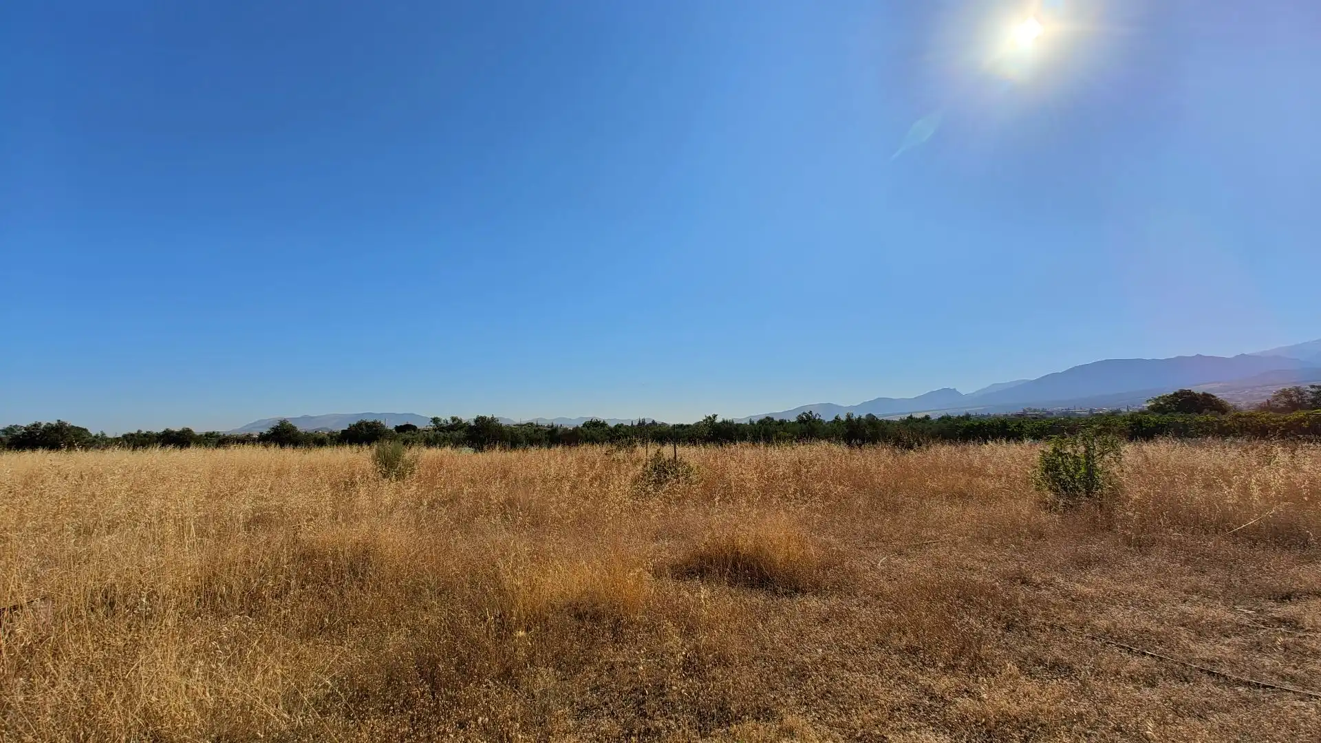 Terreno rustico in vendita a Aljancira, imagen 19