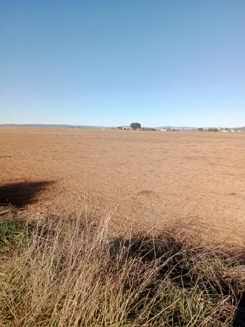 Terreno rustico in vendita a Santa María  - Pío XII, imagen 4