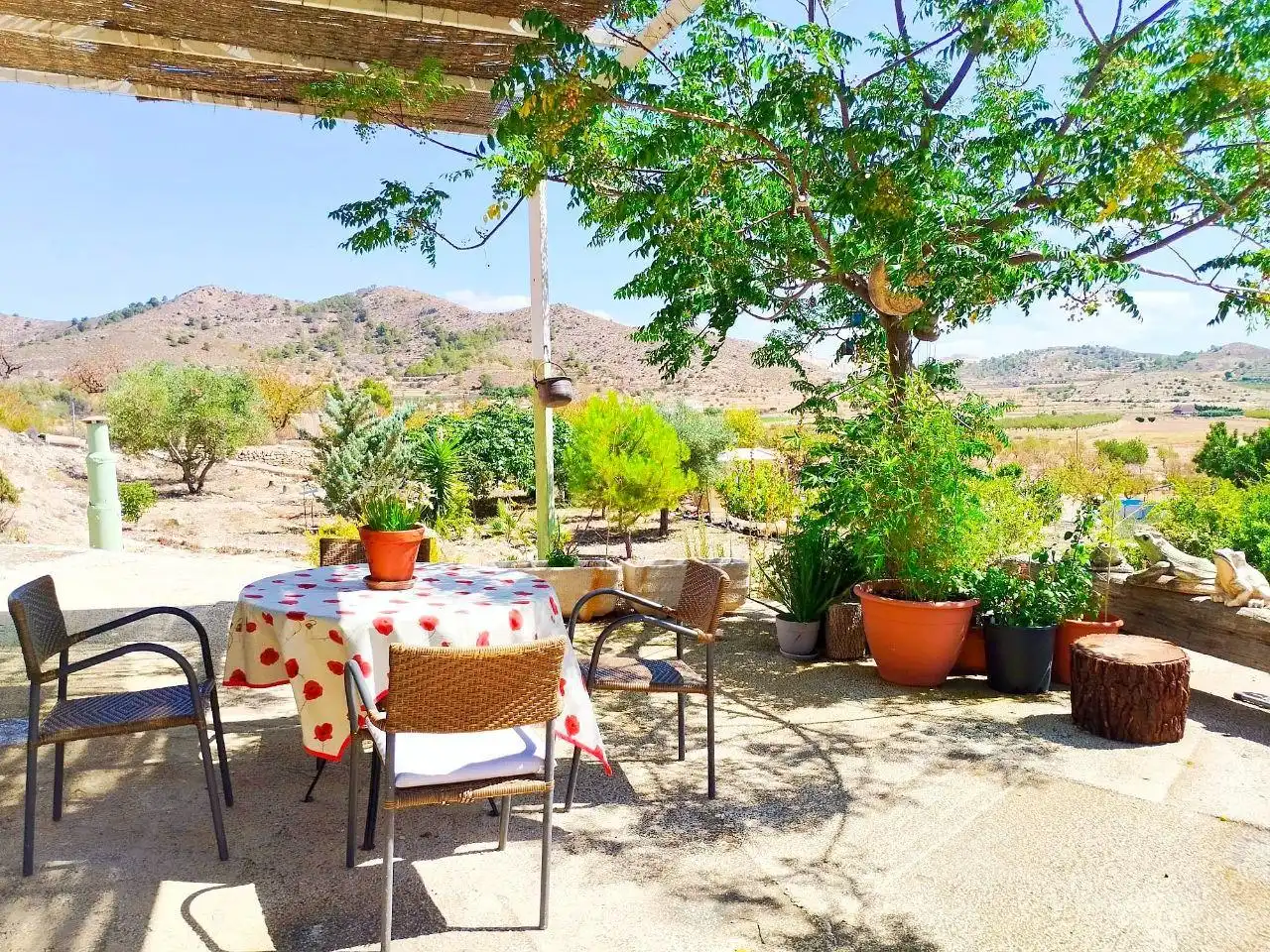Casa rústica en venda a Hondón de las Nieves / El Fondó de les Neus, imagen 3