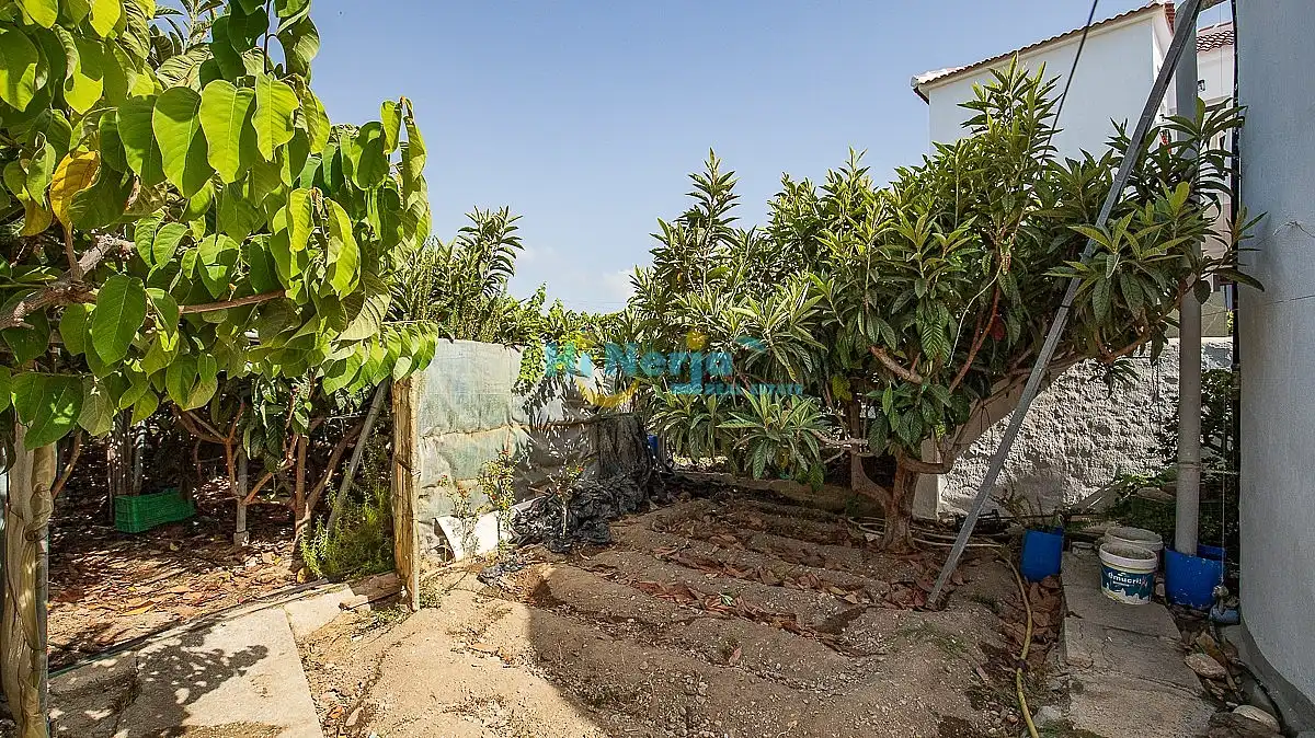 Maison à vendre à El Peñoncillo, imagen 20