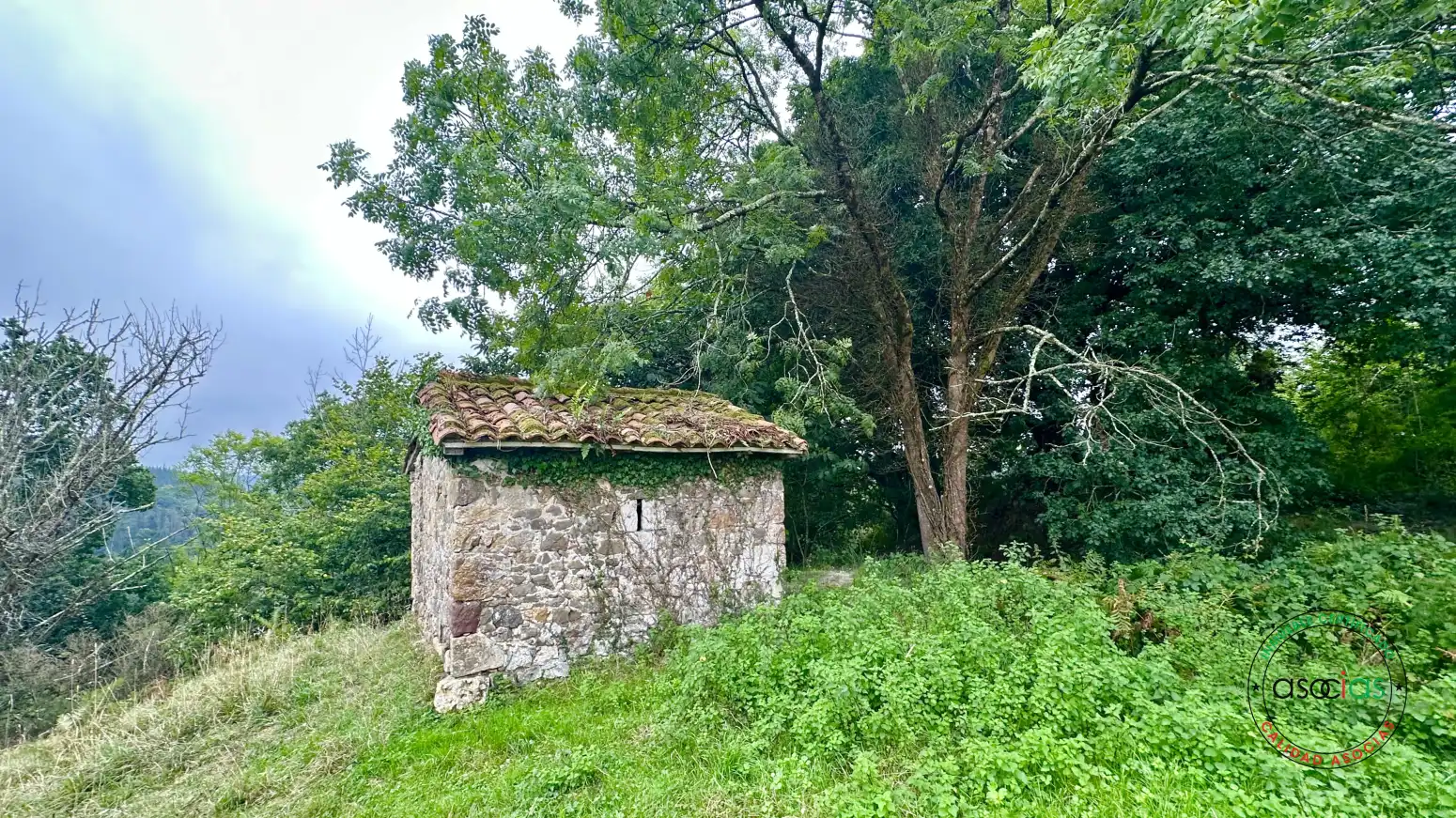 Terreno rustico in vendita a Cabranes - TORAZO, imagen 9