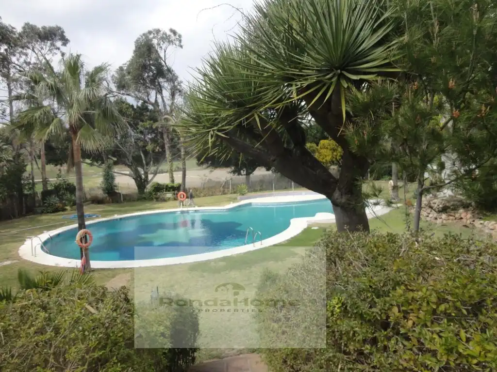 Swimming pool of Flat for rent in Benalmádena