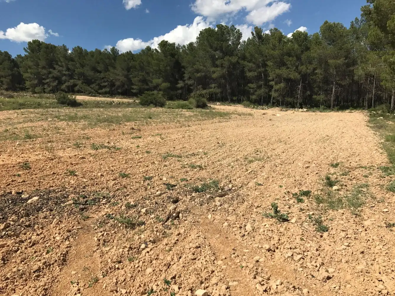Terreny rústic en venda a Caravaca de la Cruz, imagen 6