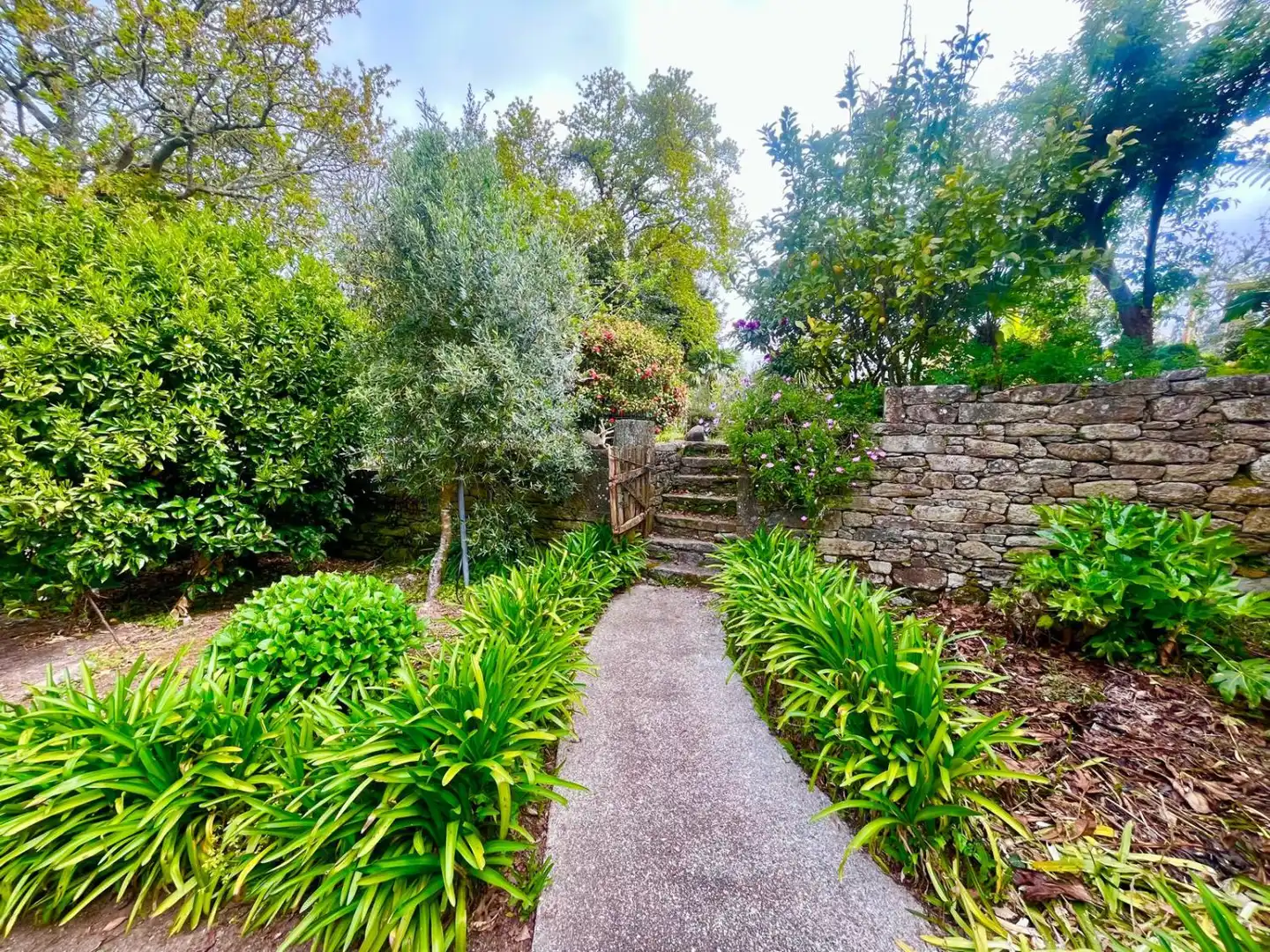 Jardín de Casa o chalet en venta en Zas