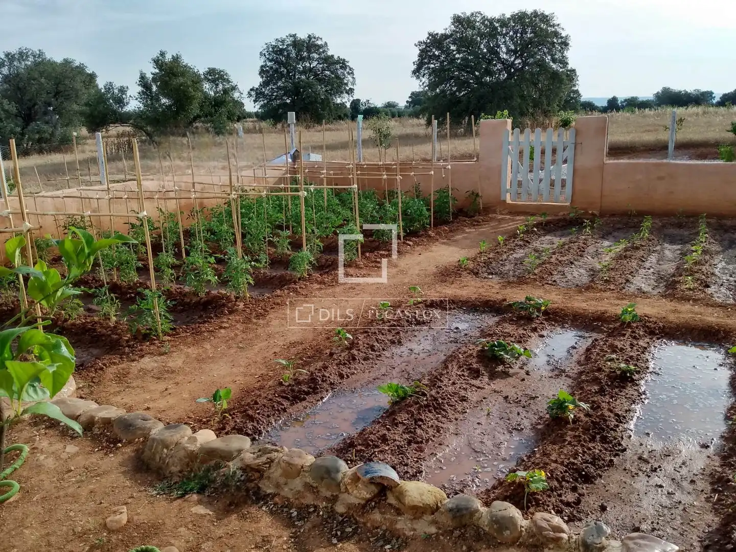 Finca rústica en venda en Malpica de Tajo amb Aire condicionat, Traster i Piscina