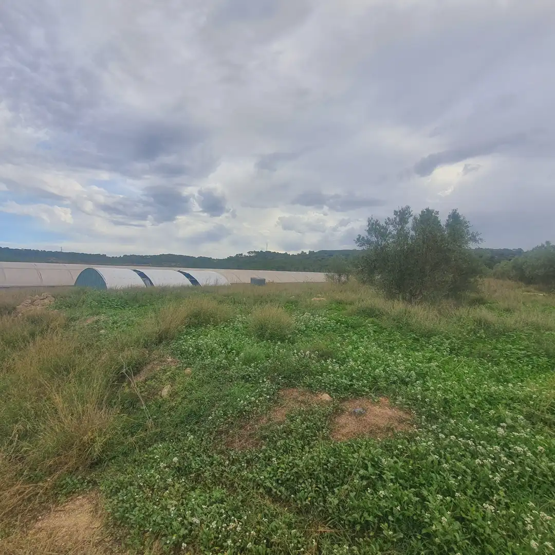 Rustikales Grundstück zum Verkauf in El Pinell de Brai, imagen 3