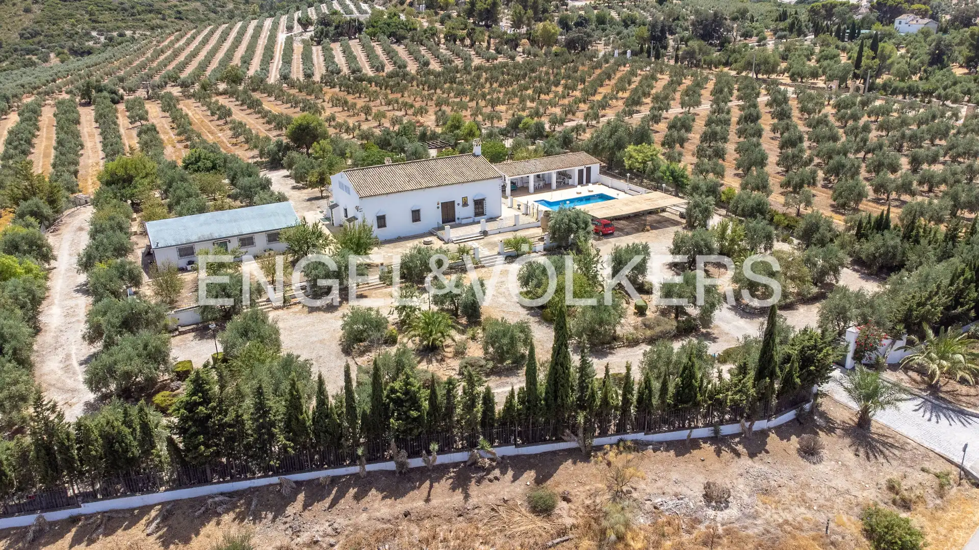 Vista exterior de Casa o chalet en venta en Osuna con Calefacción, Jardín privado y Piscina