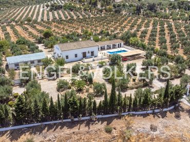Casa con piscina in vendita a Osuna