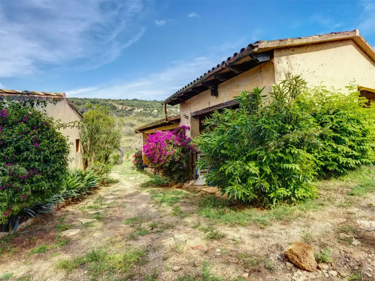 Garden of Flat for sale in Manacor  with Private garden, Storage room and Swimming Pool