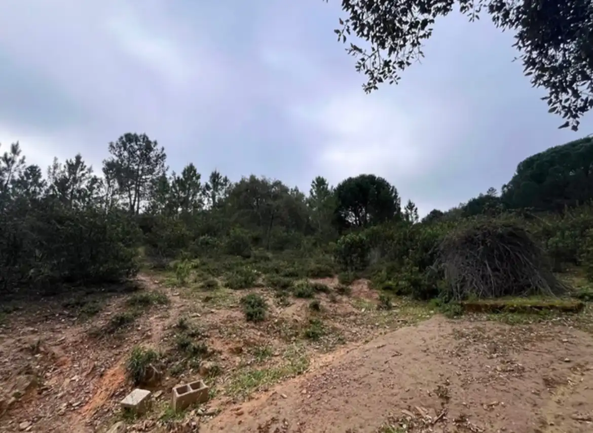 Terreno rustico in vendita a Camino de Valdelarco, imagen 2