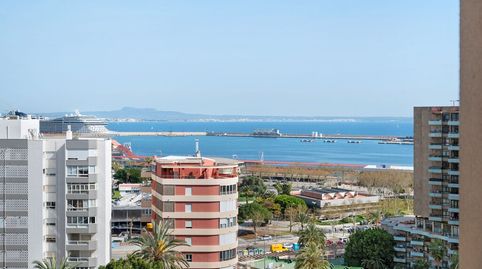 Photo 2 of Apartments for rent in Porto Pi, Palma de Mallorca