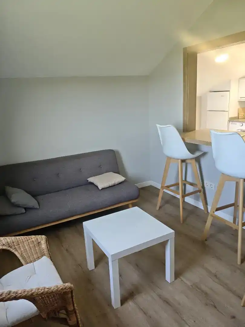 Wohnzimmer von Wohnungen zur Miete in Valdoviño mit Privatgarten, Parkett und Abstellraum