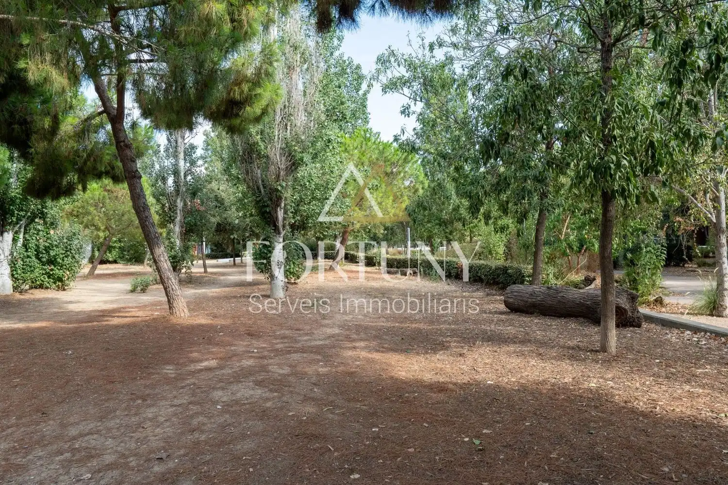Flat with terrace for sale in de l'Alcalde Joan Bertran 40, imagen 25