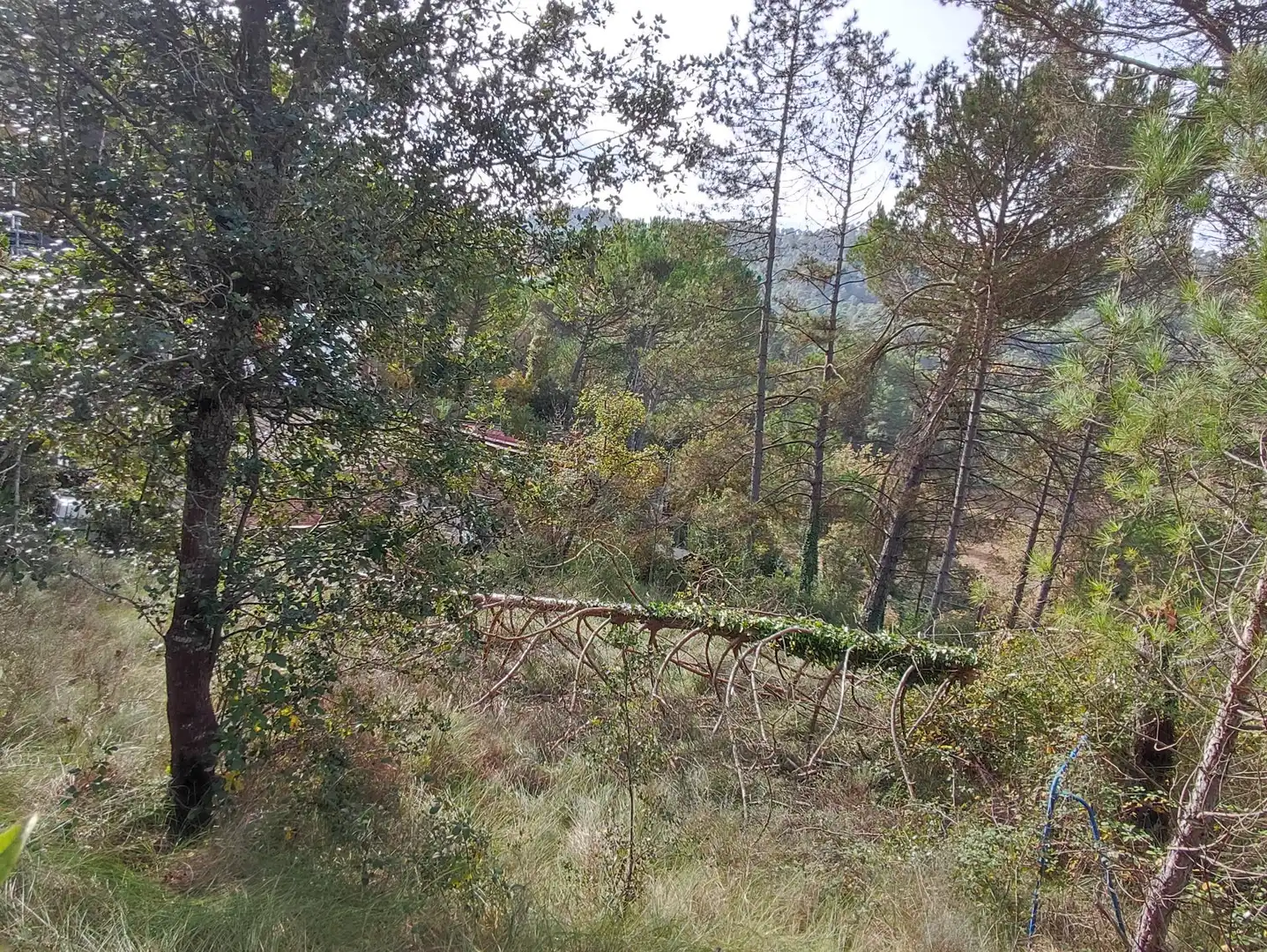 Terrain rustique à vendre à Monistrol de Calders, imagen 21