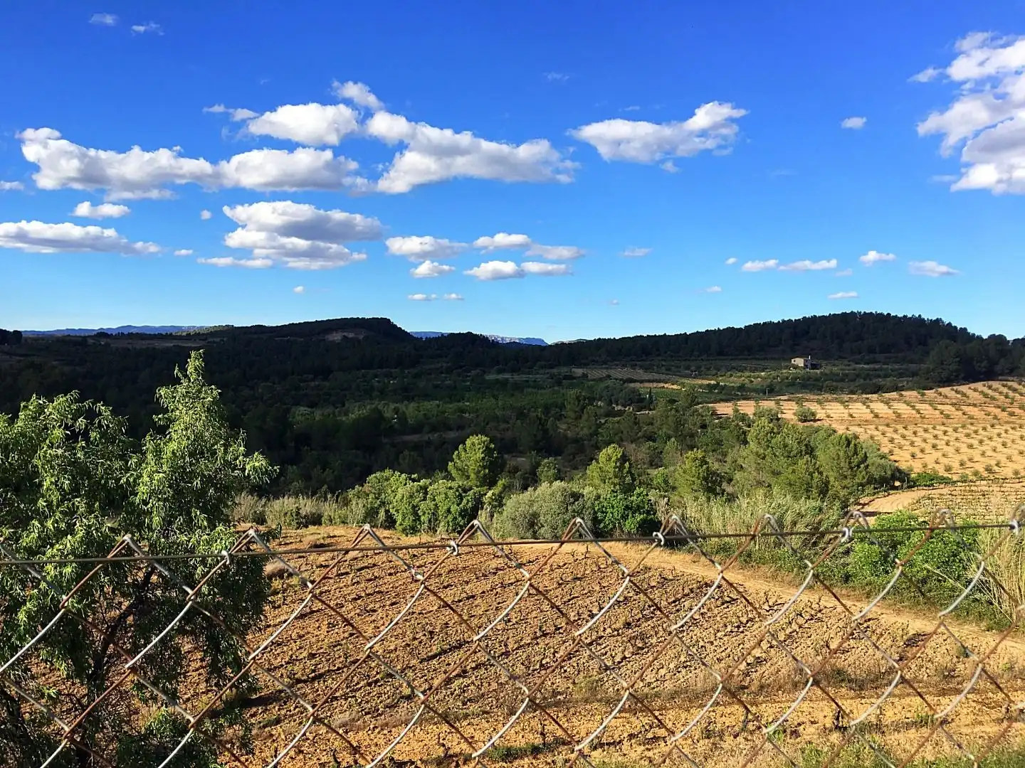 Houses for sale in Els Guiamets