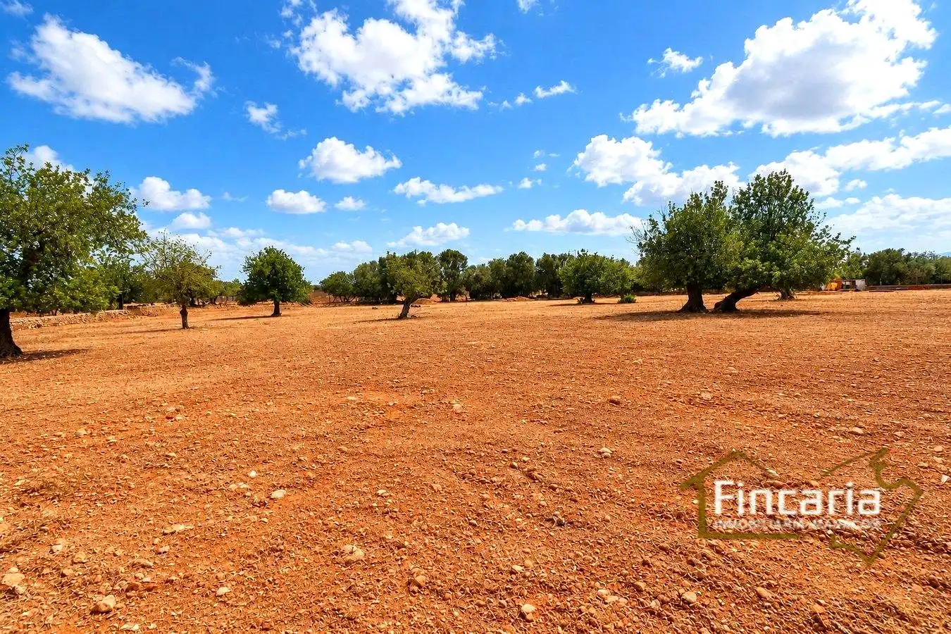 Country homes for sale in Marratxinet