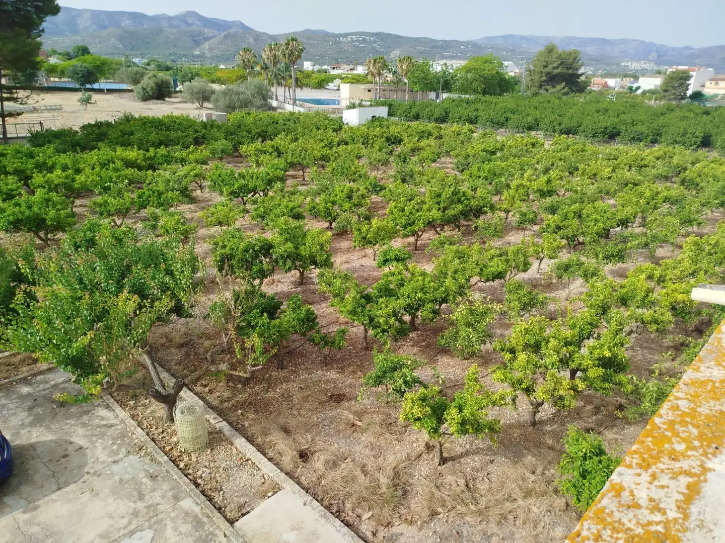 Country homes for sale in Ondara  with Private garden
