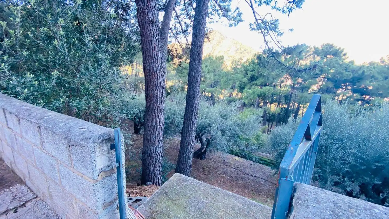 Jardín de Casa o chalet en venta en Eslida con Terraza y Trastero