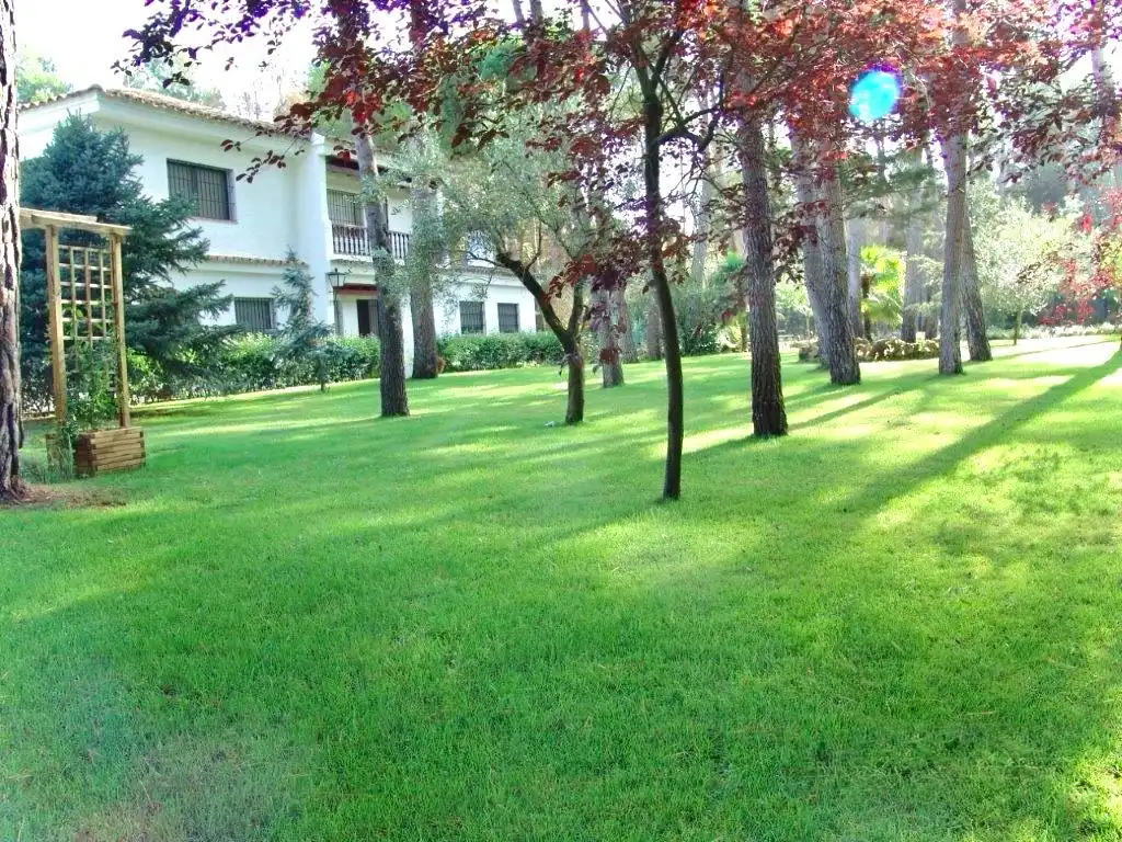 Maison avec piscine à vendre à Urbanización Pinares del Júcar 11A, imagen 17
