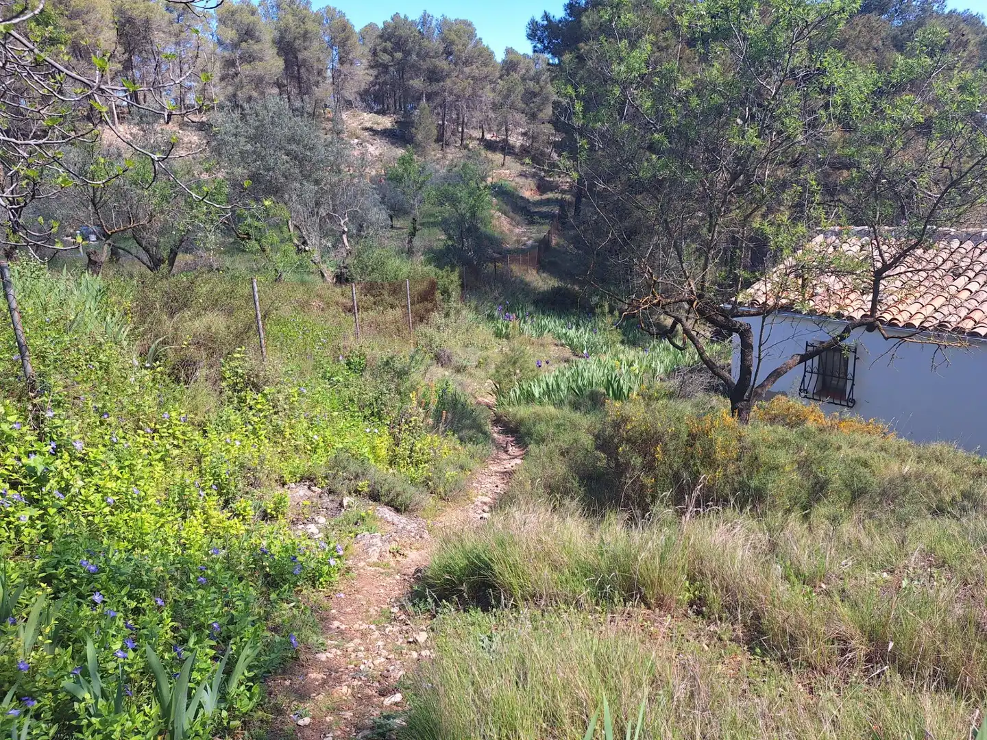 Finca rústica en venda en Alcoy / Alcoi amb Traster i Moblat