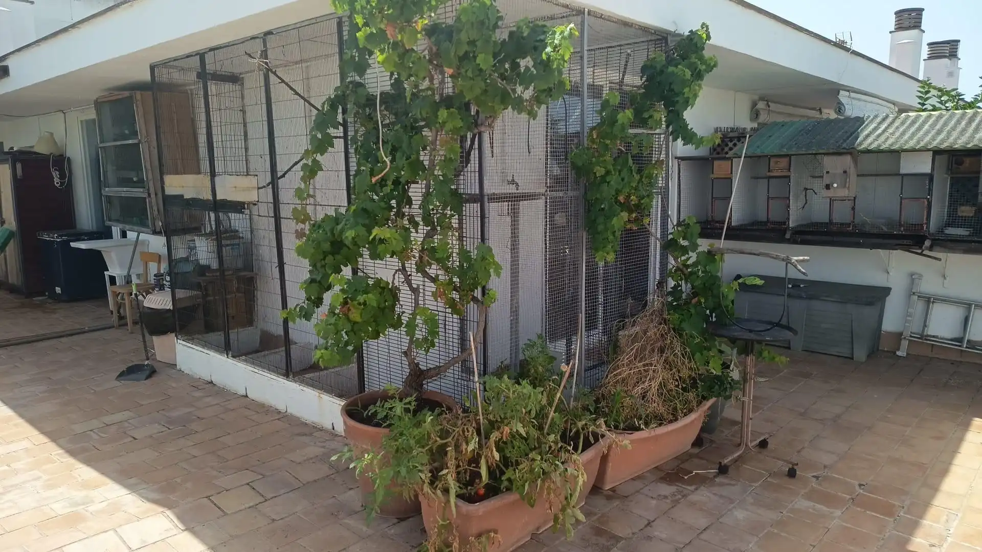 Terrasse von Dachboden zum Verkauf in  Palma de Mallorca mit Terrasse, Möbliert und Ofen