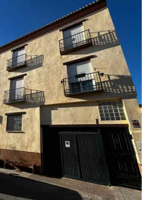 Exterior view of Garage for sale in Láchar