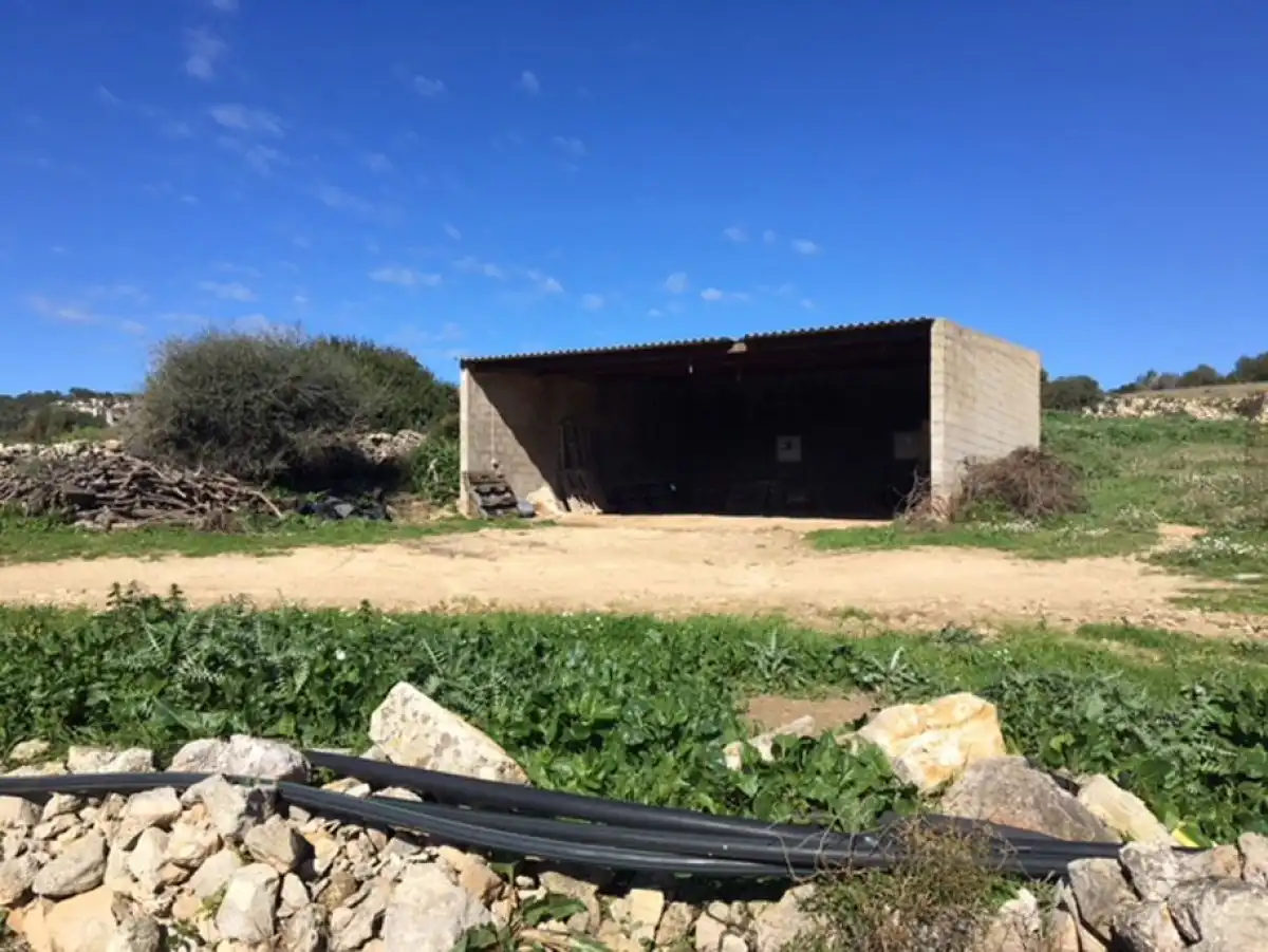 House for sale in Son Bou - Sant Jaume, imagen 24