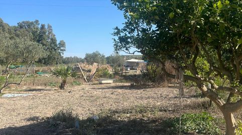 Foto 4 de Finca rústica en venta en El Rocío - La Milagrosa, Jerez de la Frontera