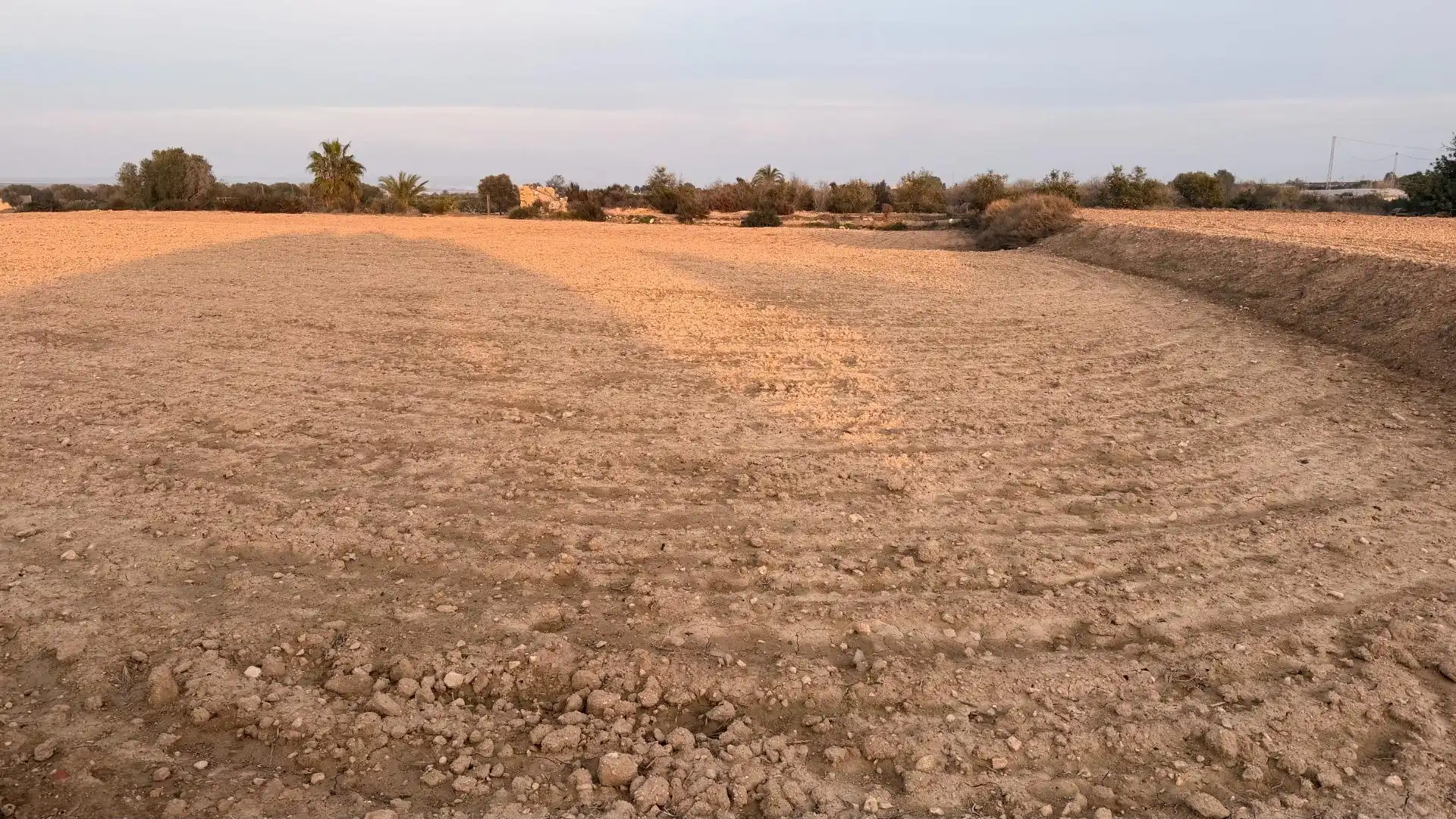 Terrain rustique à vendre à La Marina, imagen 2