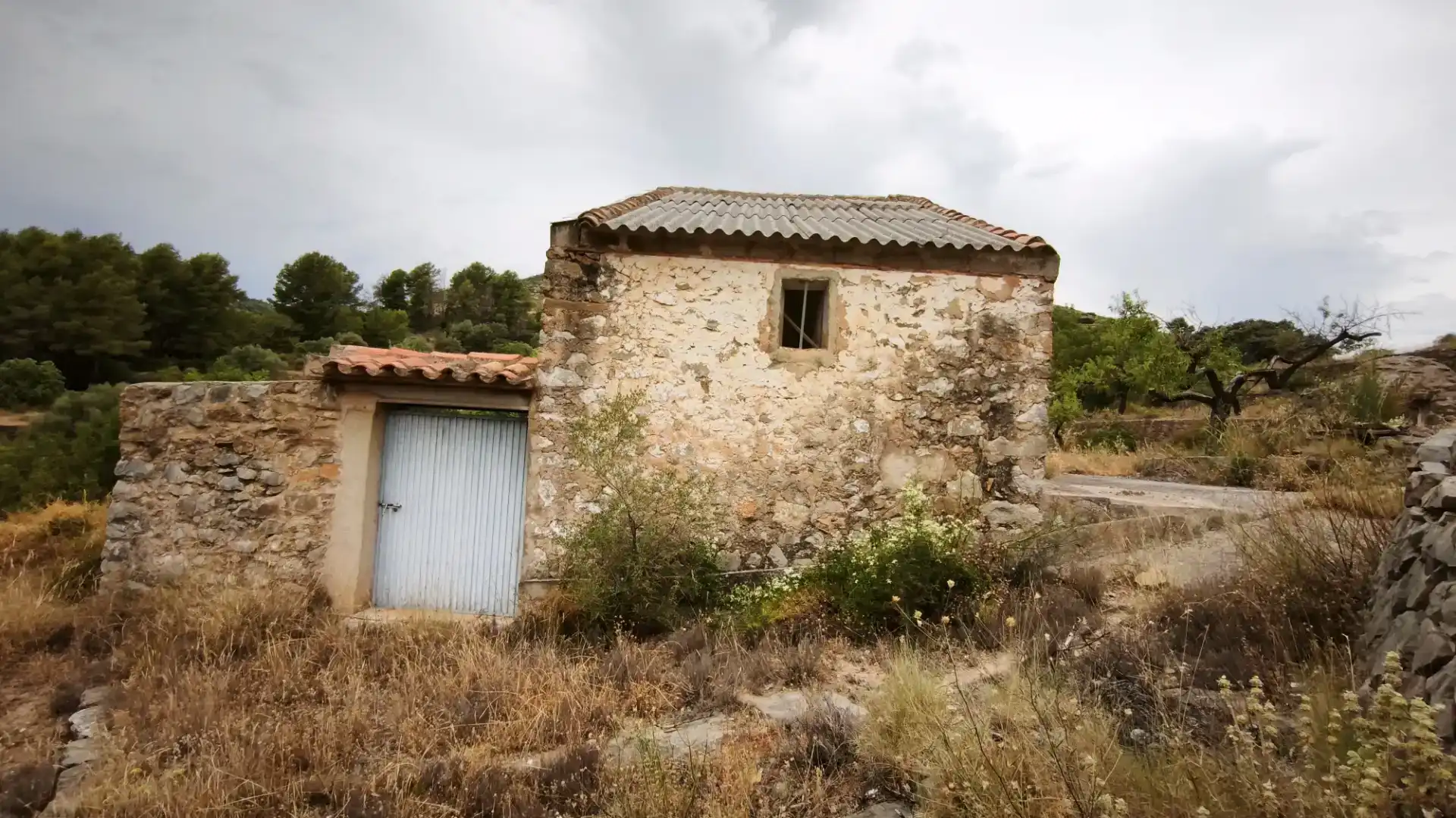 Vista exterior de Finca rústica en venta en Useras /  Les Useres con Jardín privado