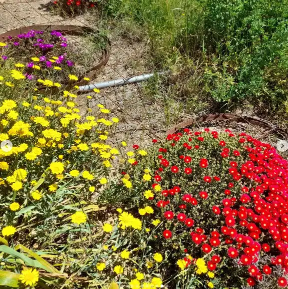 Jardín de Terreno en venta en Vilajuïga
