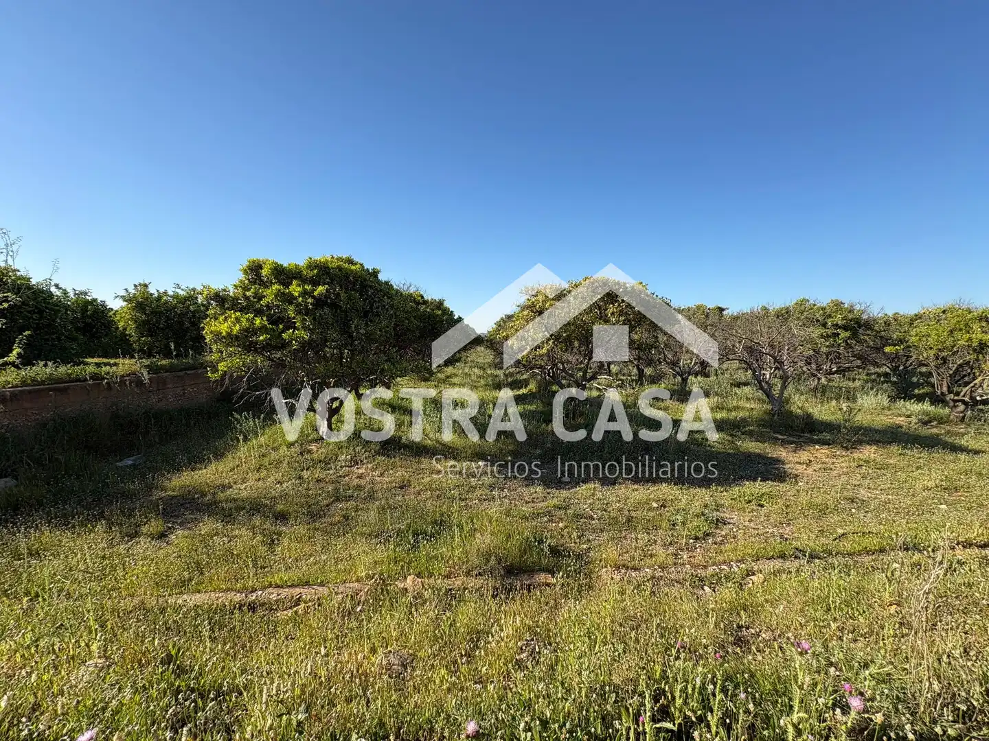 Land for sale in Chiva
