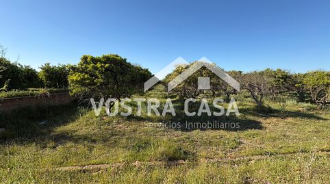 Photo 2 of Land for sale in 20, -1, La Loma, Chiva