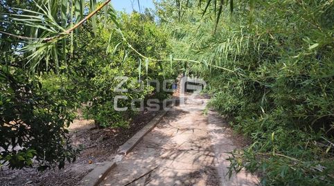 Foto 4 de Finca rústica en venta en Poligono 5 Paraje 34 Campins, Benicull de Xúquer, Valencia