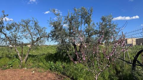Foto 3 de Finca rústica en venda a Parque Atlántico- San Matías, Sevilla