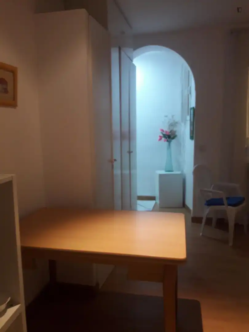 Monolocale in affitto a Moncloa - Aravaca, imagen 7
