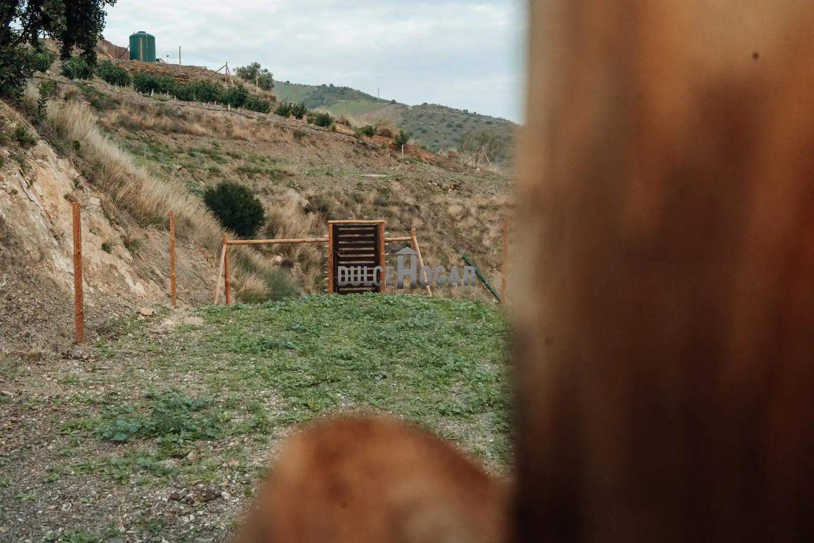 Vista exterior de Finca rústica en venta en Moclinejo con Aire acondicionado, Calefacción y Jardín privado