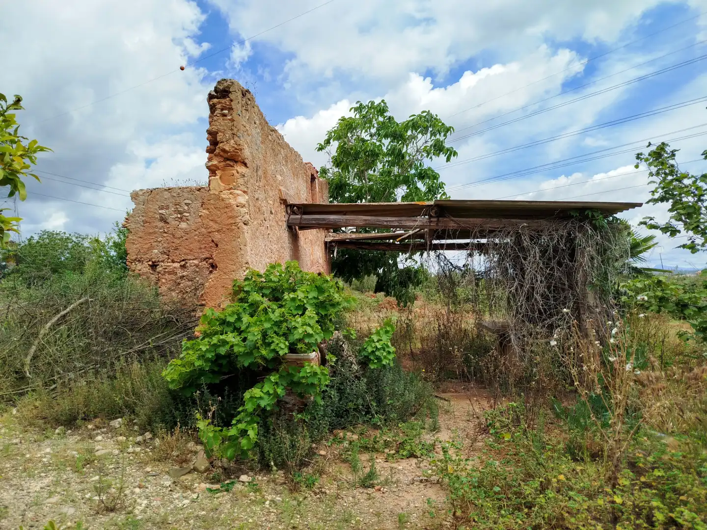 Land for sale in Vilallonga del Camp