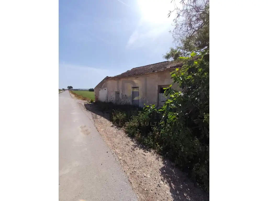 Finca rústica en venta en Dolores