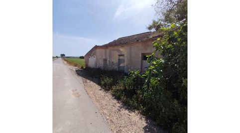 Foto 2 de Finca rústica en venta en Dolores, Alicante