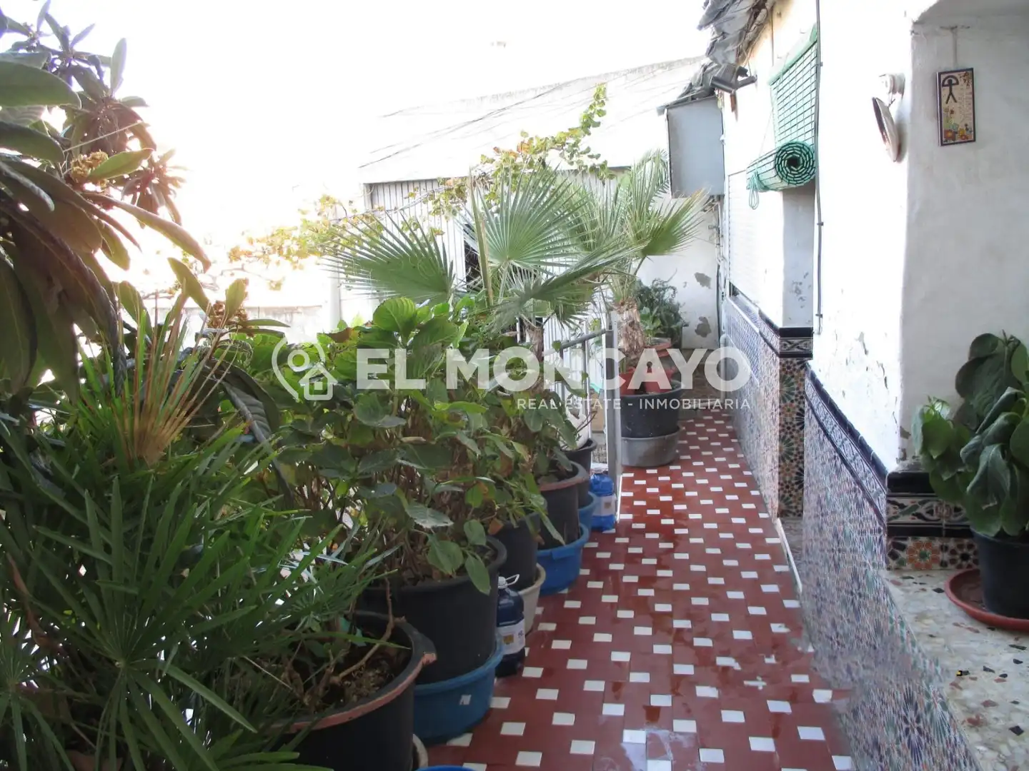 Terraza de Casa o chalet en venta en Rojales con Jardín privado, Terraza y Trastero