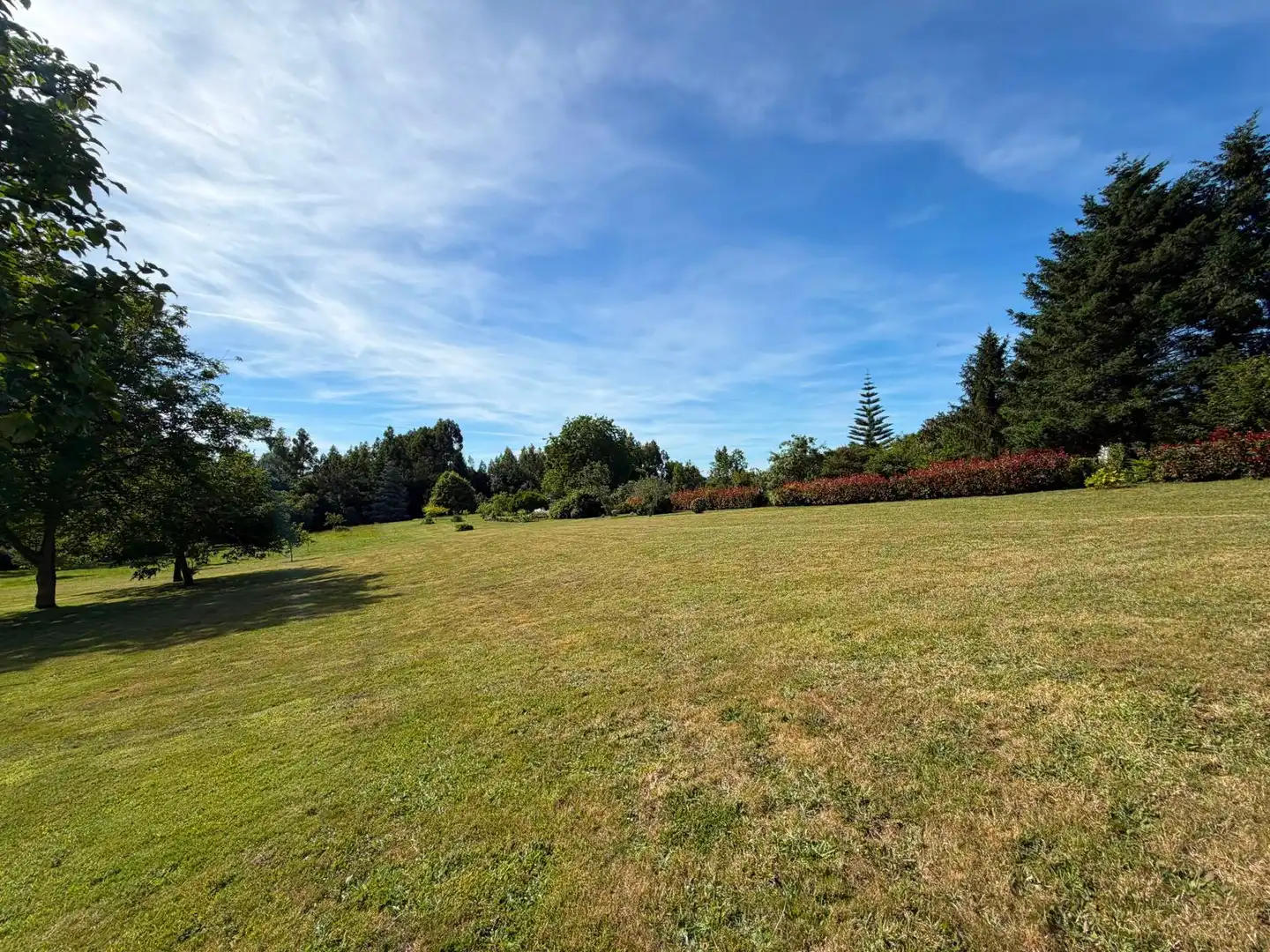 Land for sale in Fene