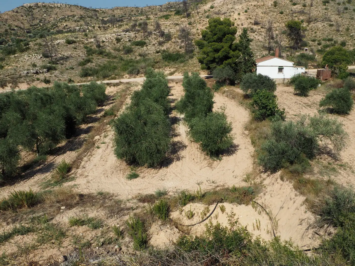 Country homes for sale in Flix  with Heating, Terrace and Storage room