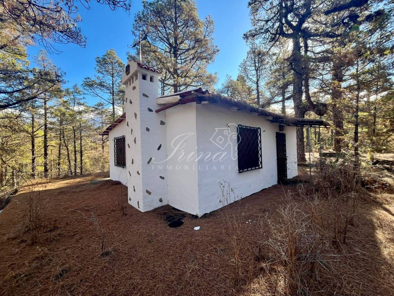 Vista exterior de Casa o xalet en venda en El Paso amb Jardí privat
