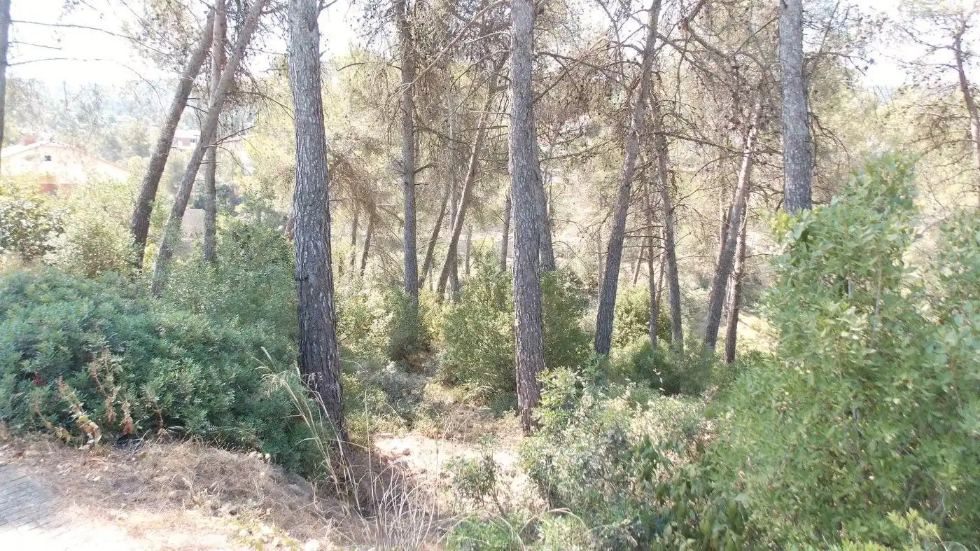 Terreny residencial en venda a Vallirana