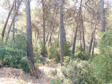 Terreno residenziale in vendita a Vallirana