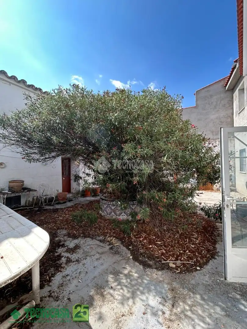 Maison jumelée avec terrasse à vendre à C. Mayor, imagen 27