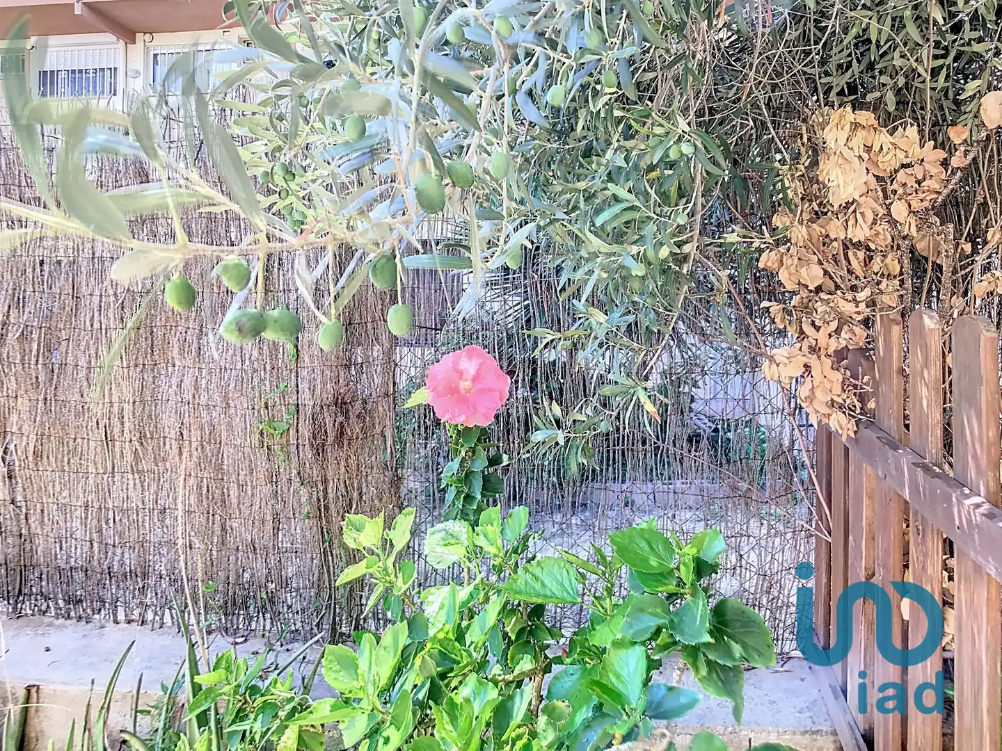 Casa aparellada en venda a Roda de Barà, imagen 15