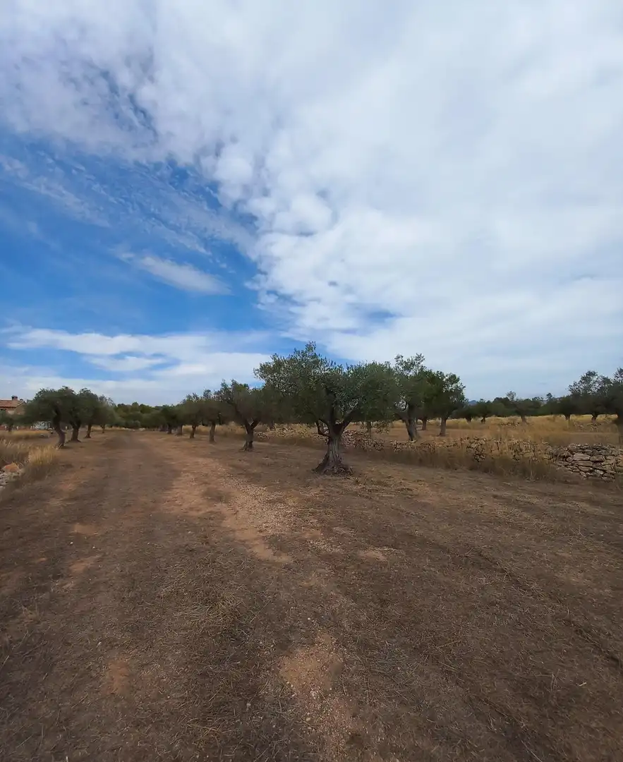 Finca rústica en venta en Tivissa
