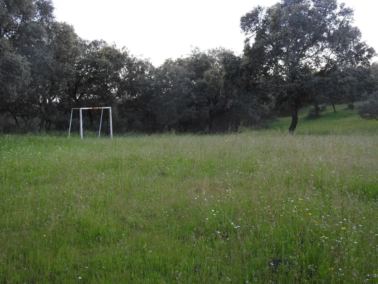 Land for sale in Cervera de los Montes